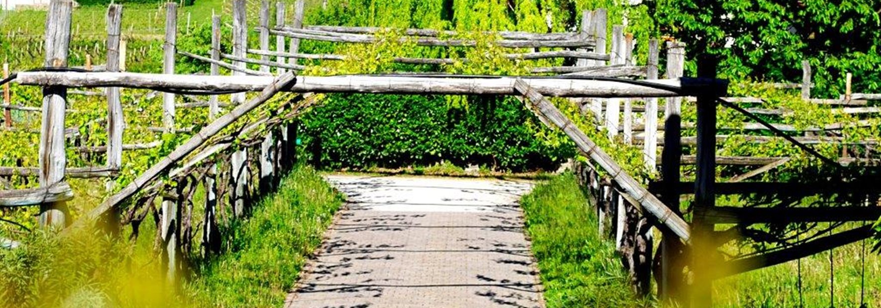 Vacanze lungo la Strada del Vino dell'Alto Adige